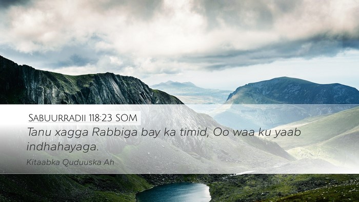Sabuurradii 118:23 SOM Desktop Wallpaper - Tanu xagga Rabbiga bay ka timid, Oo waa ku yaab - Desktop Bible Verse Wallpaper