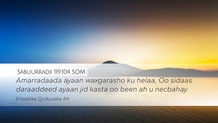 Sabuurradii 119:104 SOM Bible Verse Image