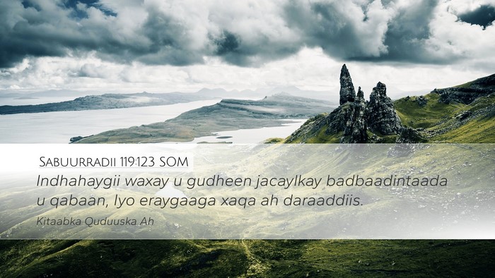 Sabuurradii 119:123 SOM Bible Verse Image