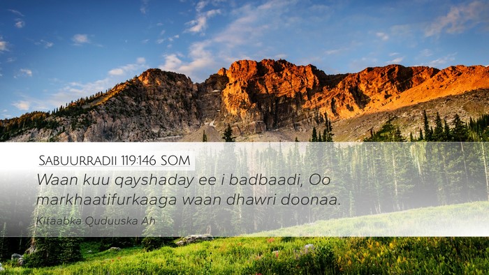 Sabuurradii 119:146 SOM Desktop Wallpaper - Waan kuu qayshaday ee i badbaadi, Oo - Desktop Bible Verse Wallpaper