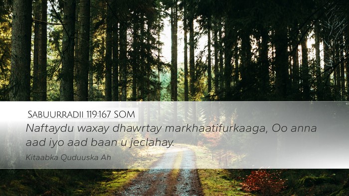 Sabuurradii 119:167 SOM Bible Verse Image