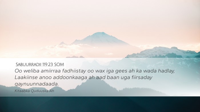 Sabuurradii 119:23 SOM Bible Verse Image