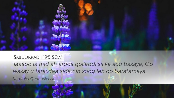 Sabuurradii 19:5 SOM Bible Verse Image