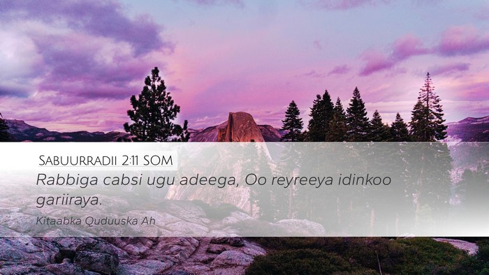 Sabuurradii 2:11 SOM Desktop Wallpaper - Rabbiga cabsi ugu adeega, Oo reyreeya idinkoo - Desktop Bible Verse Wallpaper