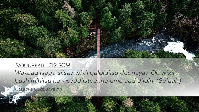 Sabuurradii 21:2 SOM Bible Verse Image