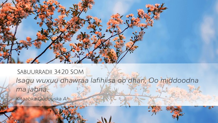 Sabuurradii 34:20 SOM Bible Verse Image