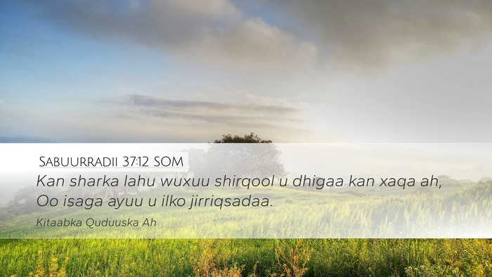 Sabuurradii 37:12 SOM Bible Verse Image