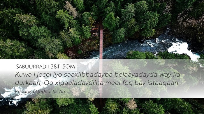 Sabuurradii 38:11 SOM Bible Verse Image
