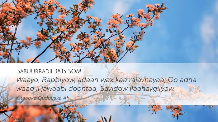 Sabuurradii 38:15 SOM Bible Verse Image
