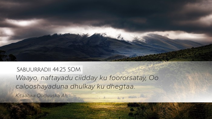 Sabuurradii 44:25 SOM Desktop Wallpaper - Waayo, naftayadu ciidday ku foororsatay, Oo - Desktop Bible Verse Wallpaper