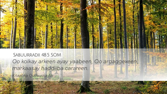 Sabuurradii 48:5 SOM Bible Verse Image
