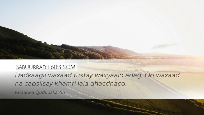 Sabuurradii 60:3 SOM Bible Verse Image