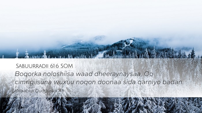 Sabuurradii 61:6 SOM Desktop Wallpaper - Boqorka noloshiisa waad dheeraynaysaa, Oo - Desktop Bible Verse Wallpaper
