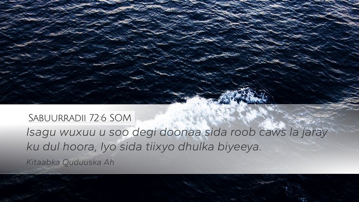 Sabuurradii 72:6 SOM Desktop Wallpaper - Isagu wuxuu u soo degi doonaa sida roob caws la - Desktop Bible Verse Wallpaper