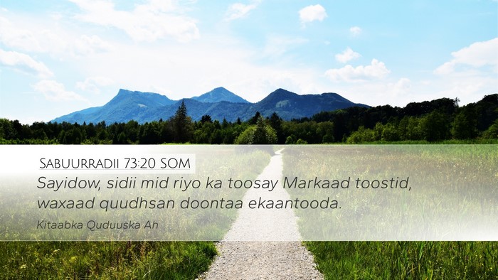 Sabuurradii 73:20 SOM Bible Verse Image