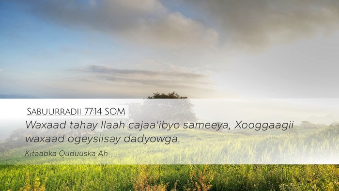 Sabuurradii 77:14 SOM Bible Verse Image