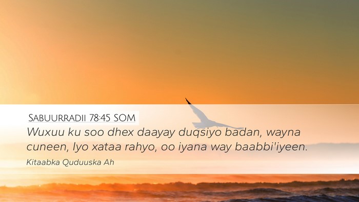 Sabuurradii 78:45 SOM Desktop Wallpaper - Wuxuu ku soo dhex daayay duqsiyo badan, wayna - Desktop Bible Verse Wallpaper