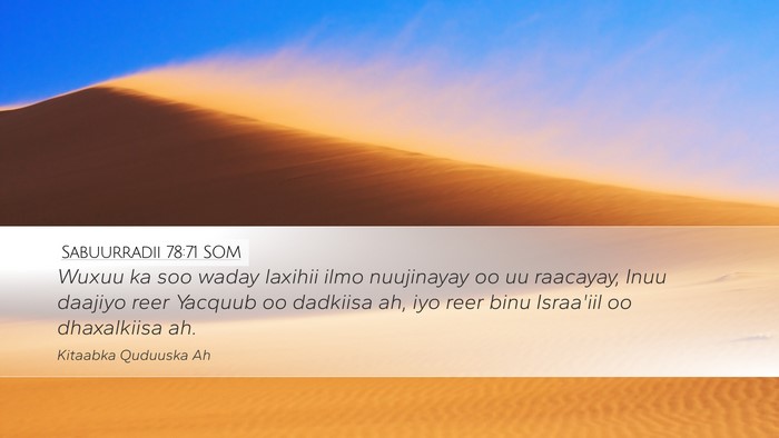 Sabuurradii 78:71 SOM Desktop Wallpaper - Wuxuu ka soo waday laxihii ilmo nuujinayay oo uu - Desktop Bible Verse Wallpaper