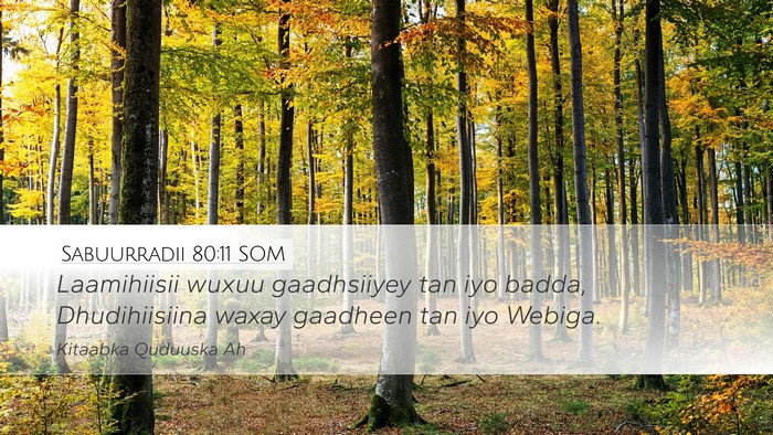 Sabuurradii 80:11 SOM Bible Verse Image