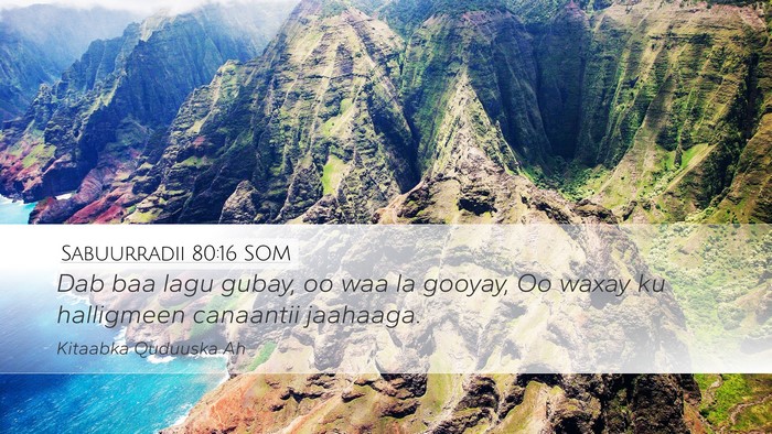 Sabuurradii 80:16 SOM Bible Verse Image
