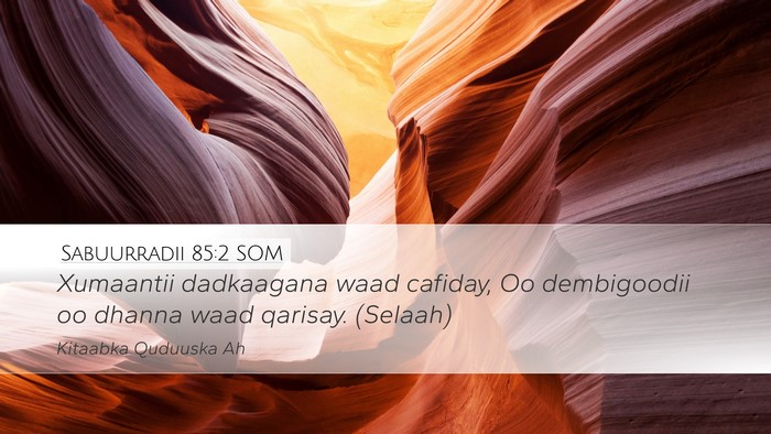 Sabuurradii 85:2 SOM Desktop Wallpaper - Xumaantii dadkaagana waad cafiday, Oo dembigoodii - Desktop Bible Verse Wallpaper