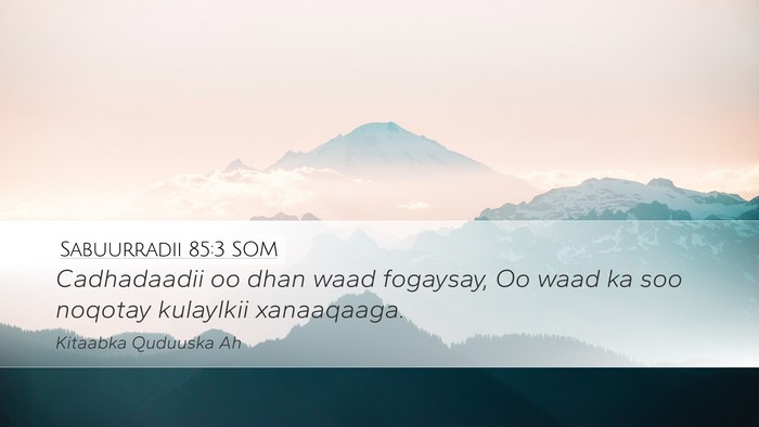 Sabuurradii 85:3 SOM Bible Verse Image