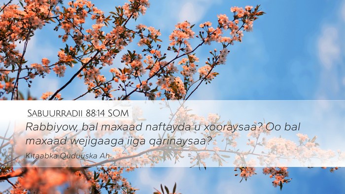 Sabuurradii 88:14 SOM Bible Verse Image
