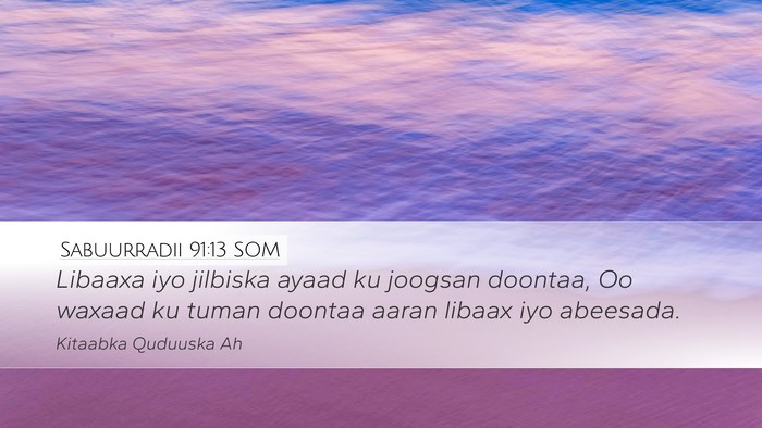 Sabuurradii 91:13 SOM Bible Verse Image