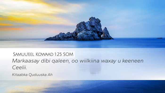Samuu'eel Kowaad 1:25 SOM Desktop Wallpaper - Markaasay dibi qaleen, oo wiilkiina waxay u - Desktop Bible Verse Wallpaper