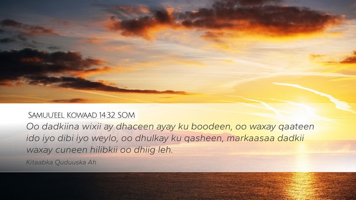 Samuu'eel Kowaad 14:32 SOM Bible Verse Image