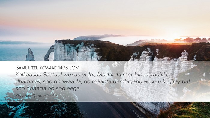 Samuu'eel Kowaad 14:38 SOM Bible Verse Image
