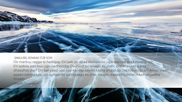 Samuu'eel Kowaad 17:28 SOM Bible Verse Image