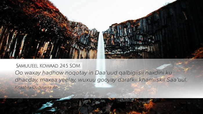 Samuu'eel Kowaad 24:5 SOM Bible Verse Image