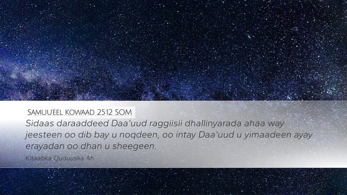 Samuu'eel Kowaad 25:12 SOM Desktop Wallpaper - Sidaas daraaddeed Daa'uud raggiisii dhallinyarada - Desktop Bible Verse Wallpaper