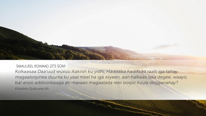 Samuu'eel Kowaad 27:5 SOM Desktop Wallpaper - Kolkaasaa Daa'uud wuxuu Aakiish ku yidhi, Haddaba - Desktop Bible Verse Wallpaper