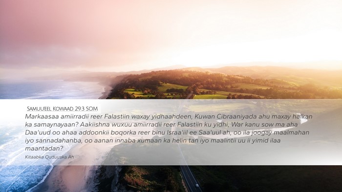 Samuu'eel Kowaad 29:3 SOM Bible Verse Image