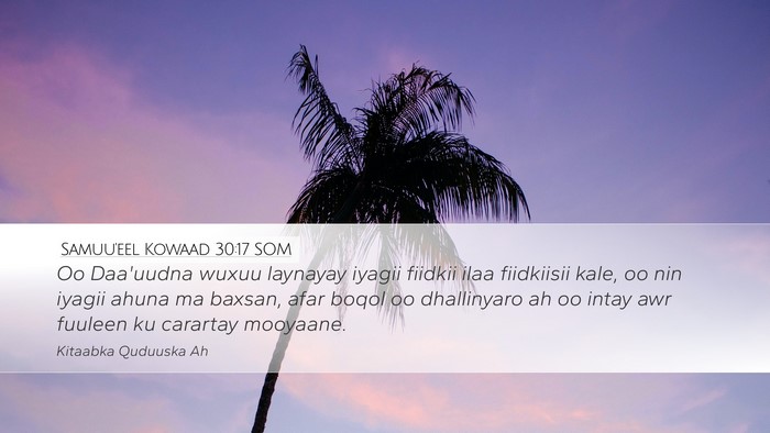 Samuu'eel Kowaad 30:17 SOM Bible Verse Image