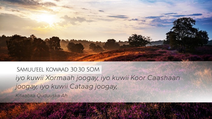Samuu'eel Kowaad 30:30 SOM Bible Verse Image
