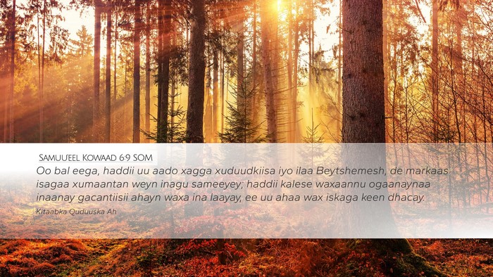 Samuu'eel Kowaad 6:9 SOM Bible Verse Image