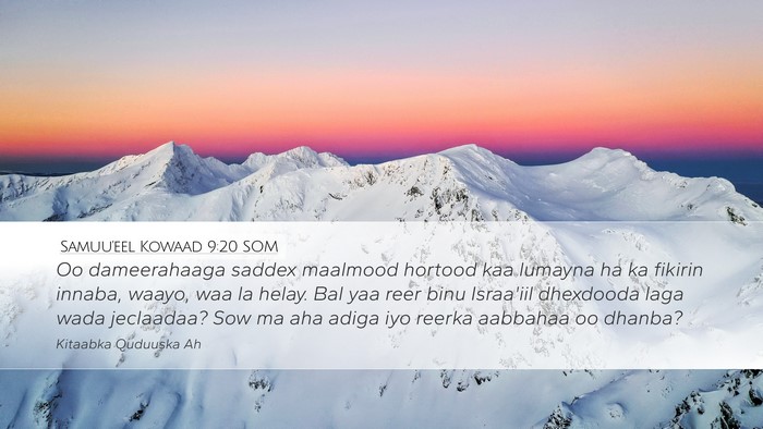 Samuu'eel Kowaad 9:20 SOM Desktop Wallpaper - Oo dameerahaaga saddex maalmood hortood kaa - Desktop Bible Verse Wallpaper