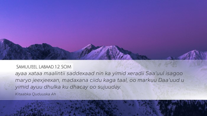 Samuu'eel Labaad 1:2 SOM Bible Verse Image