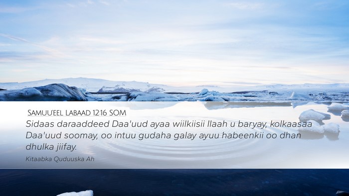 Samuu'eel Labaad 12:16 SOM Bible Verse Image