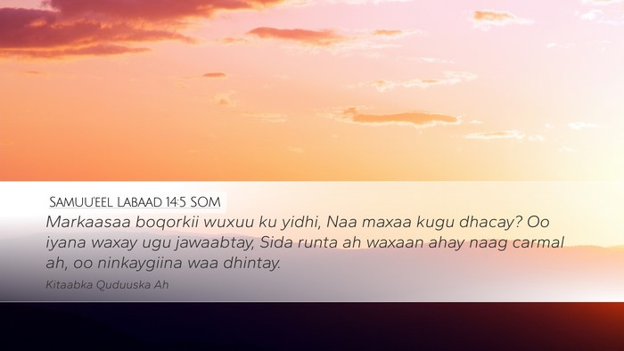 Samuu'eel Labaad 14:5 SOM Desktop Wallpaper - Markaasaa boqorkii wuxuu ku yidhi, Naa maxaa kugu - Desktop Bible Verse Wallpaper