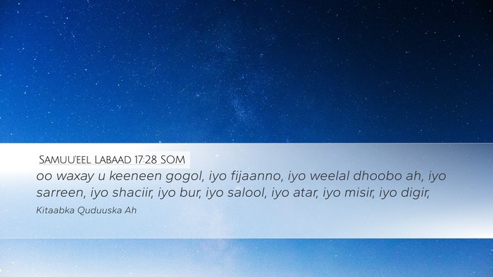 Samuu'eel Labaad 17:28 SOM Bible Verse Image