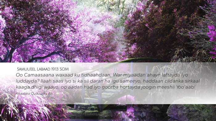 Samuu'eel Labaad 19:13 SOM Bible Verse Image