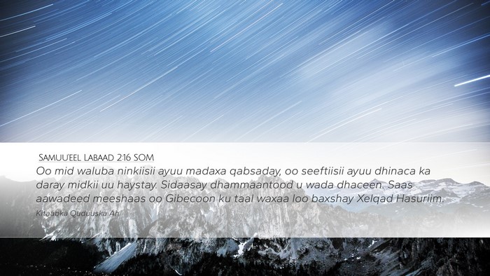 Samuu'eel Labaad 2:16 SOM Bible Verse Image