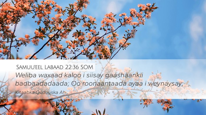 Samuu'eel Labaad 22:36 SOM Bible Verse Image
