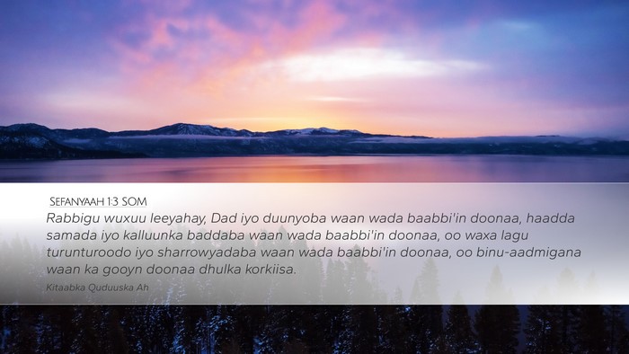 Sefanyaah 1:3 SOM Bible Verse Image