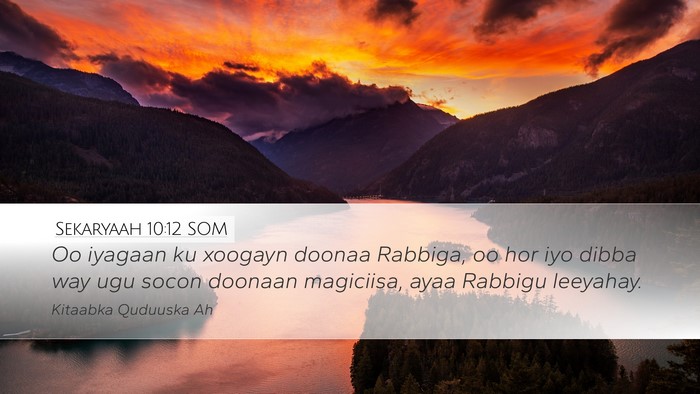 Sekaryaah 10:12 SOM Bible Verse Image