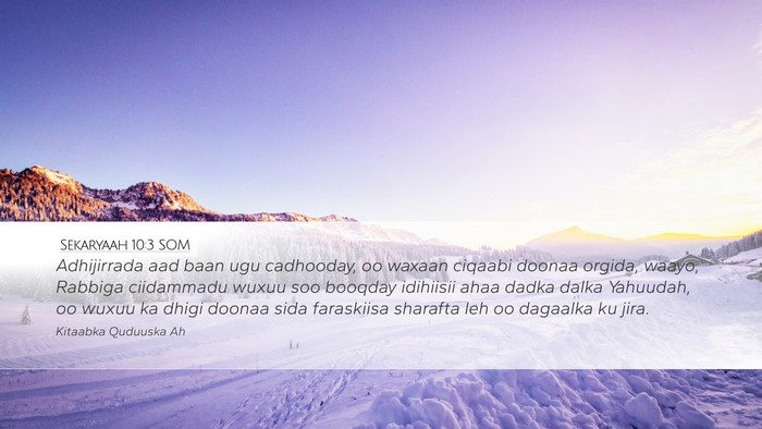 Sekaryaah 10:3 SOM Bible Verse Image